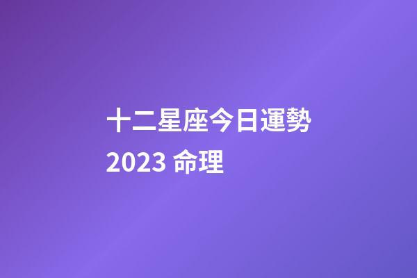十二星座今日運勢2023 命理-第1張-星座運勢-玄機派